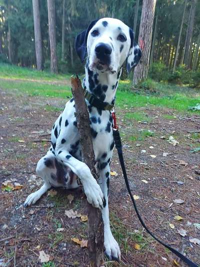 32. Collagen Challenge - eure liebsten gestellten Fotos-Beitrag-Bild