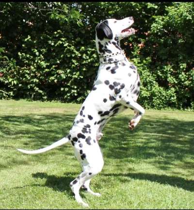 32. Collagen Challenge - eure liebsten gestellten Fotos-Beitrag-Bild