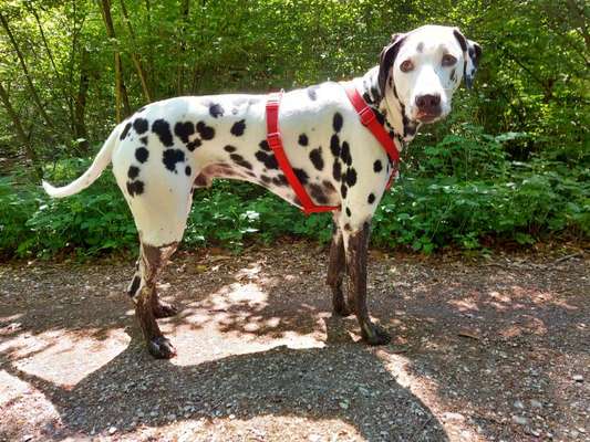 Lustige Eigenheiten-Beitrag-Bild