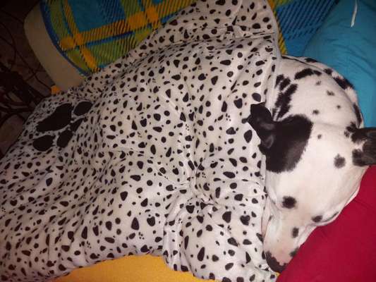 34. Farben-Challenge: Punkte - Punkte - Pünktchen-Beitrag-Bild