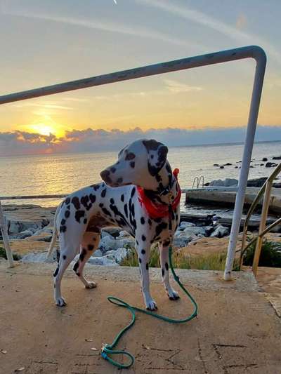 Lieblingsbild-Beitrag-Bild