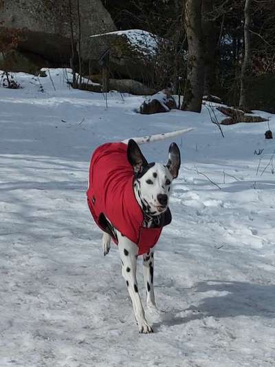 Verspielt-Beitrag-Bild