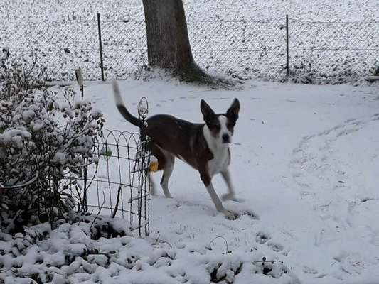 Ist das ein...?-Beitrag-Bild