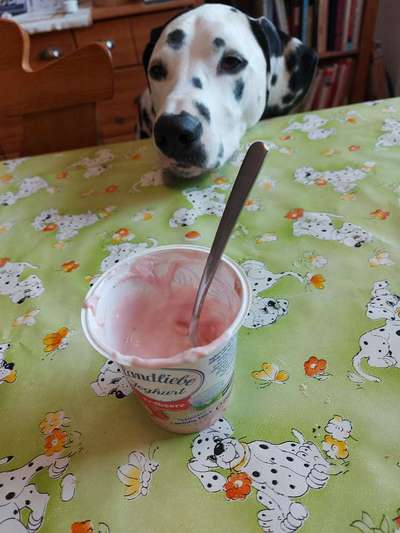 35.Collagen Challenge:„Bettelblick"-Beitrag-Bild