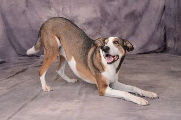 Welche Sätze hört ihr oft?-Beitrag-Bild