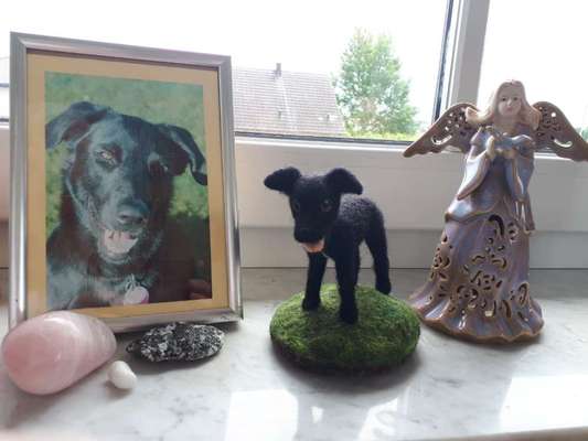 suche hundefigur aus filz-Beitrag-Bild