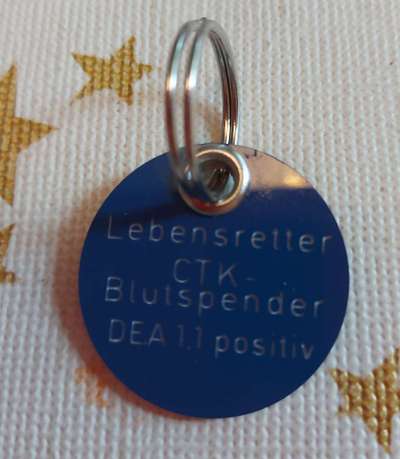 Hund als Blutspender-Beitrag-Bild