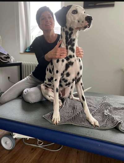 Fotowettbewerb:                                         Wellness für deinen Hund-Beitrag-Bild