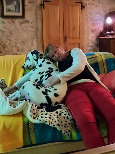 21. Collage Challenge 
Du und dein Hund-Beitrag-Bild