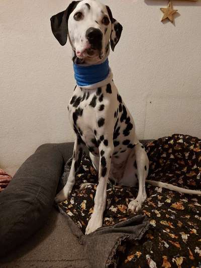 Blutspenden-Beitrag-Bild