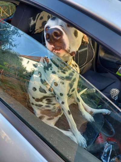 120. Fotochallenge-Beitrag-Bild