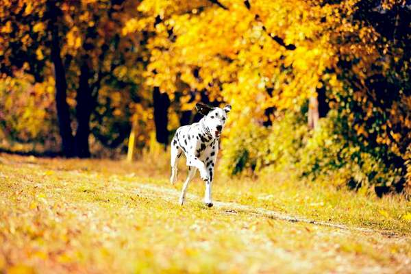 Zauberhaftes lächeln-Beitrag-Bild