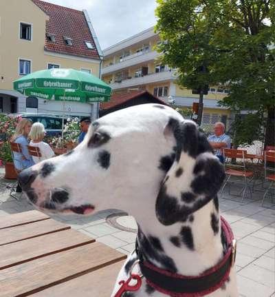 23. Collagen-Challenge: Portraits-Beitrag-Bild