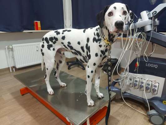 Blutspenden-Beitrag-Bild