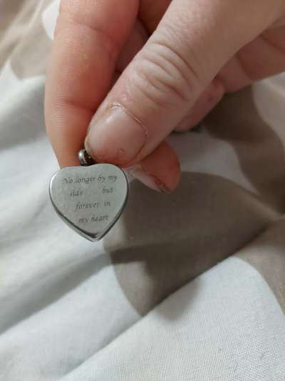 Dogorama Photo Challenge - Herzenshund-Beitrag-Bild