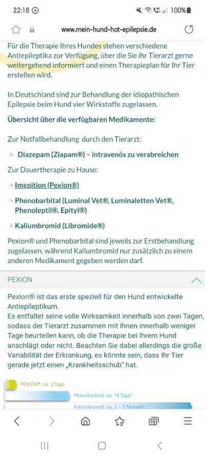 Therapie bei Epilepsie-Beitrag-Bild