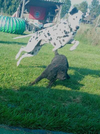 "Die eingefangene Magie des Augenblicks"-Beitrag-Bild