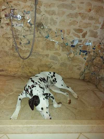 Fotochallenge 128-Beitrag-Bild