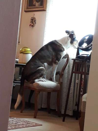 Fotos &Collagen: Beobachtungsposten-Beitrag-Bild