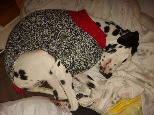 Fotochallange - Eingekugelt-Beitrag-Bild