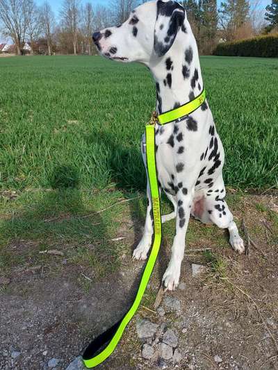 21. Farben / Foto Challenge - Neon / Leuchtfarben-Beitrag-Bild