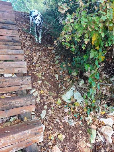 30. Collagen Challenge - Wege/Straßen-Beitrag-Bild