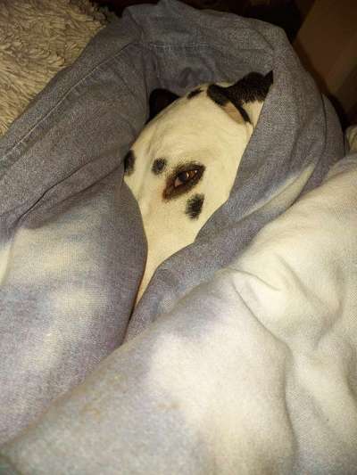 Fotochallange - Eingekugelt-Beitrag-Bild