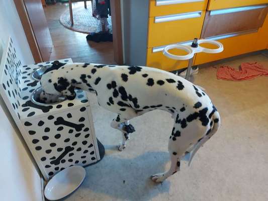 Lustige Eigenheiten-Beitrag-Bild