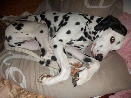 Gemeinsames Kuscheln im Bett!-Beitrag-Bild