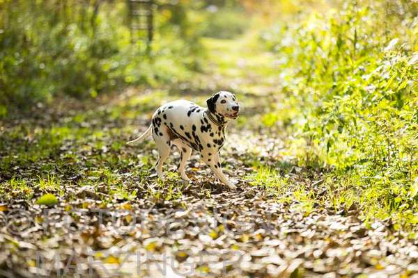 30. Collagen Challenge - Wege/Straßen-Beitrag-Bild