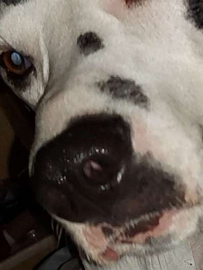 42. Handy Fotochallenge - Den richtigen Riecher haben-Beitrag-Bild