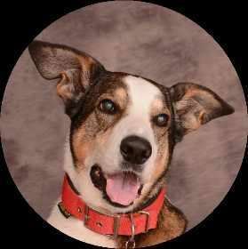 Lieblingsbild :D-Beitrag-Bild