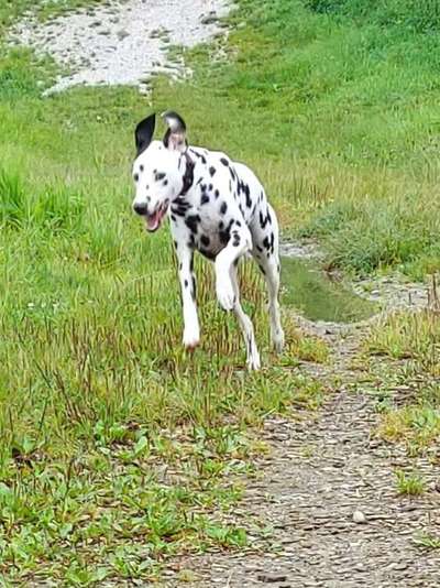 30. Collagen Challenge - Wege/Straßen-Beitrag-Bild