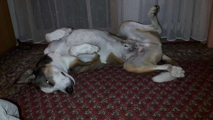 34. Farben-Challenge: Punkte - Punkte - Pünktchen-Beitrag-Bild