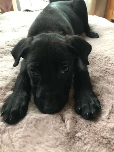 Lieblingsbild-Beitrag-Bild