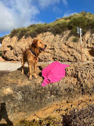 Eure Strandbilder :)-Beitrag-Bild