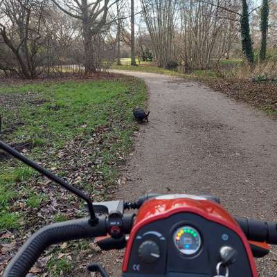 Hundeauslaufgebiet-Rudower Fließ-Bild