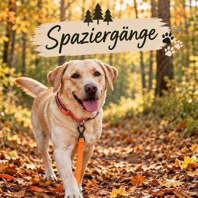 Hundetreffen-Zusammen eine Runde drehen-Bild