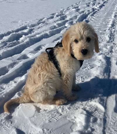 Erstes Bild-Beitrag-Bild