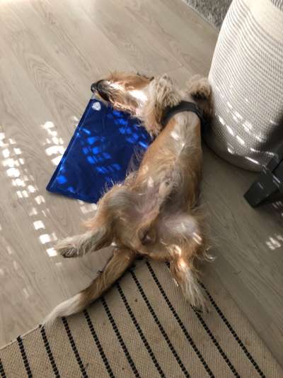 CHALLENGE NR. 34 - Liege-/Schlafpositionen-Beitrag-Bild