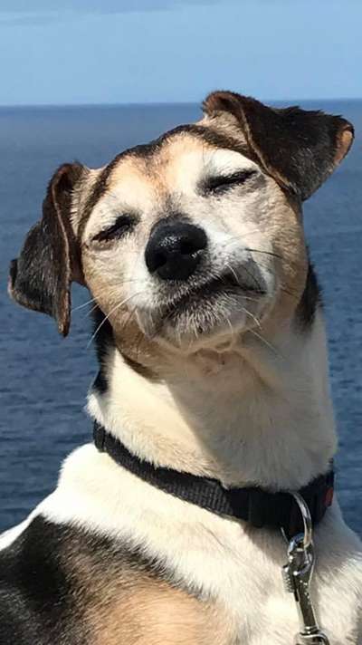 LUSTIGE FOTOS! WER KANN MITHALTEN?-Beitrag-Bild