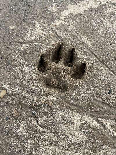 Foto Challenge Nr.135-Beitrag-Bild