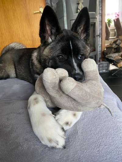 13. Farben-Fotochallenge "Grau"-Beitrag-Bild