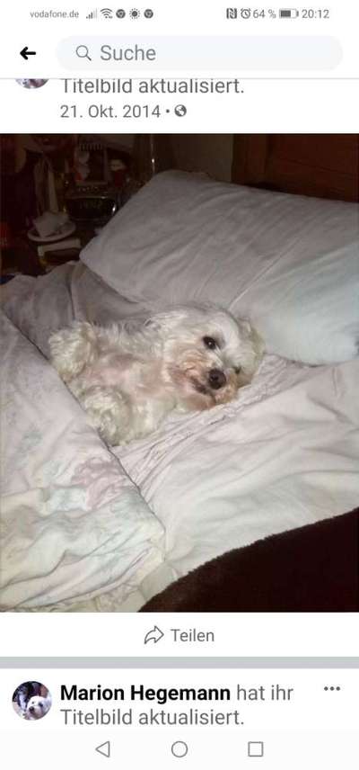 Zeigt mir die lustigsten Schlafpositionen eurer Fellnasen-Beitrag-Bild