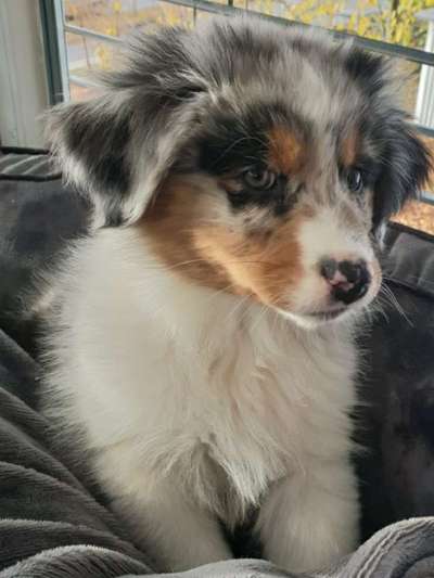 Foto Challenge 3-Beitrag-Bild