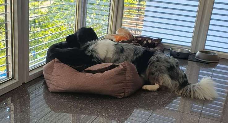 Die unbequemsten und lustigsten Schlafpositionen-Beitrag-Bild