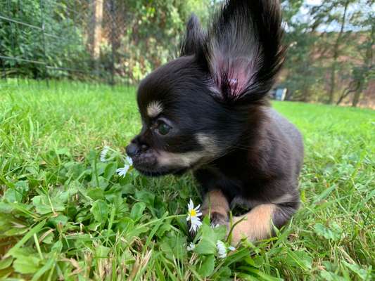 Foto Challenge 3-Beitrag-Bild