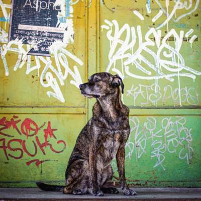 Doppelgänger gesucht !-Beitrag-Bild