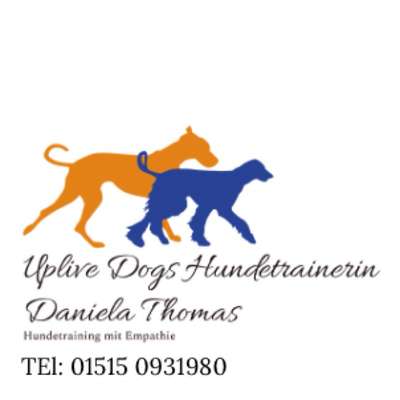 Hundeschulen-Uplive Dogs Hundetraining mit Empathie-Bild
