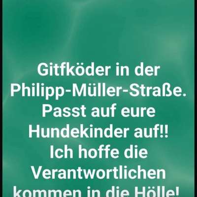 Giftköder-Eventuell Giftköder-Bild